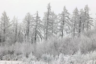 Winter im Siegerland-stock-foto