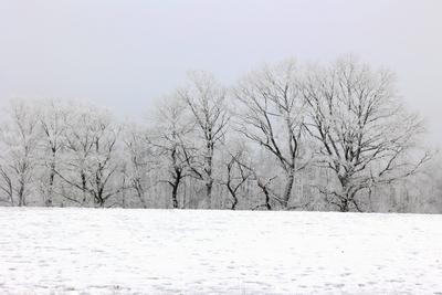 Winter im Siegerland-stock-foto