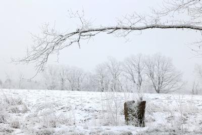 Winter im Siegerland-stock-foto