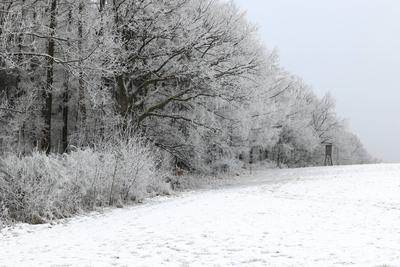 Winter im Siegerland-stock-foto