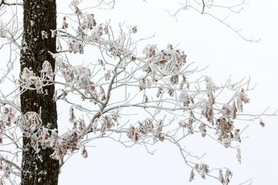 Winter im Siegerland-stock-foto