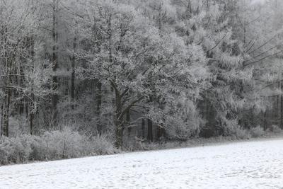 Winter im Siegerland-stock-foto