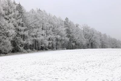 Winter im Siegerland-stock-foto