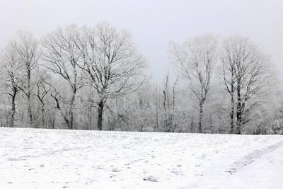 Winter im Siegerland-stock-foto