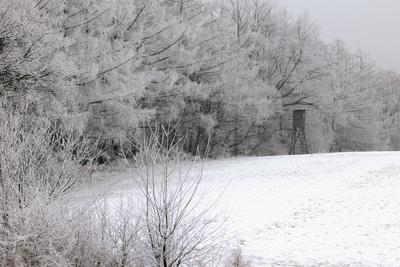 Winter im Siegerland-stock-foto
