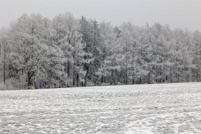 Winter im Siegerland-stock-foto