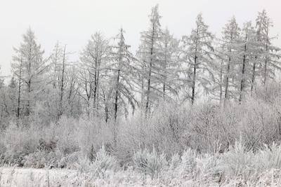 Winter im Siegerland-stock-foto