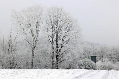 Winter im Siegerland-stock-foto