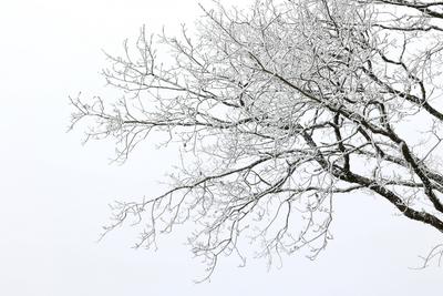 Winter im Siegerland-stock-foto