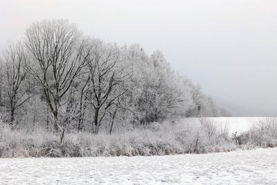 Winter im Siegerland-stock-foto