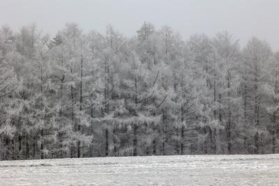 Winter im Siegerland-stock-foto