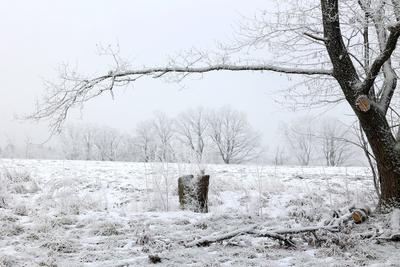 Winter im Siegerland-stock-foto