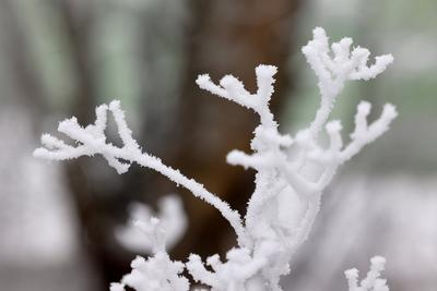 Winter im Siegerland-stock-foto