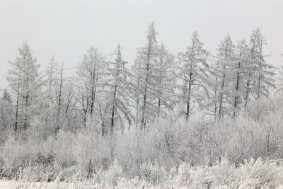 Winter im Siegerland-stock-foto