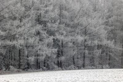 Winter im Siegerland-stock-foto