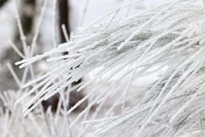 Winter im Siegerland-stock-foto