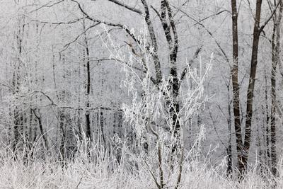 Winter im Siegerland-stock-foto