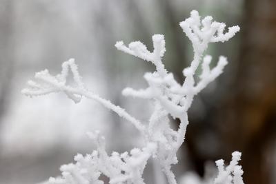 Winter im Siegerland-stock-foto