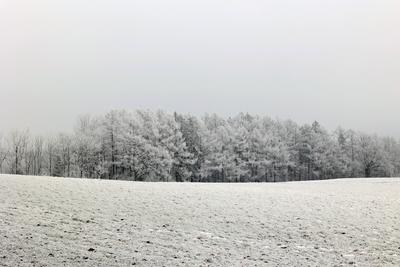 Winter im Siegerland-stock-foto