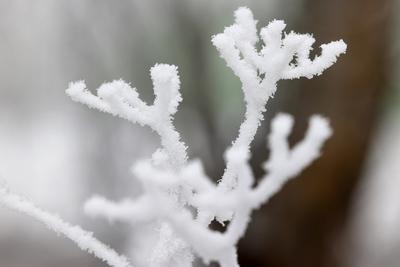 Winter im Siegerland-stock-foto
