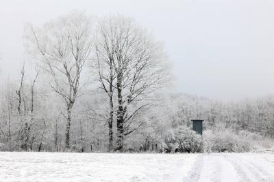 Winter im Siegerland-stock-foto