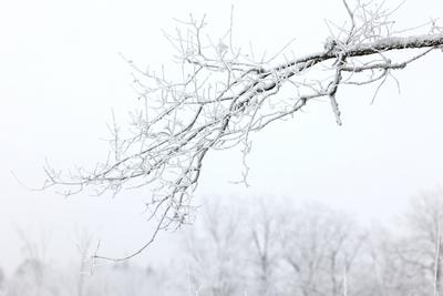 Winter im Siegerland-stock-foto