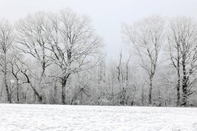 Winter im Siegerland-stock-foto