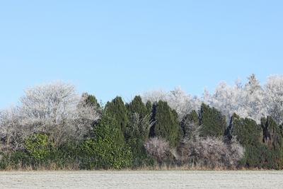 Winter im Siegerland-stock-foto