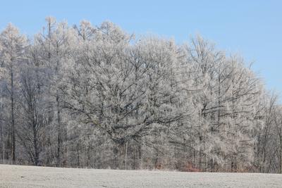 Winter im Siegerland-stock-foto