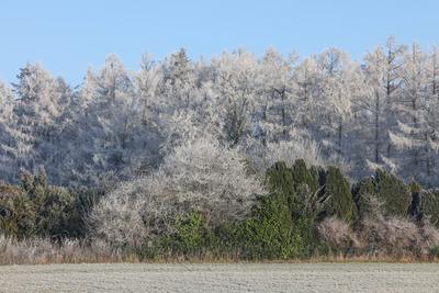 Winter im Siegerland-stock-foto