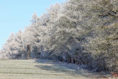 Winter im Siegerland-stock-foto