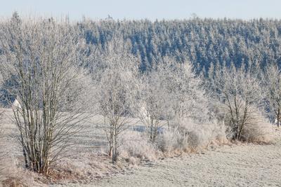 Winter im Siegerland-stock-foto