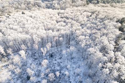 Winter im Siegerland-stock-foto