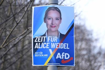 Wahlplakate - Bundestagswahl 2025-stock-photo