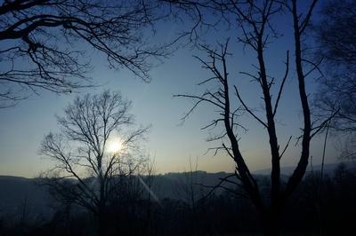08 03 2014 bei Bad Orb Spessart Hessen Wald bei Bad Orb Wald B?ume Sonne Spessart Fr?hling-stock-foto