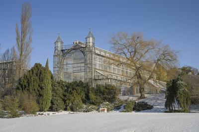 Winter, Mittelmeerhaus, Botanischer Garten, Lichterfelde, Steglitz-Zehlendorf, Berlin, Deutschland Winter, Mittelmeerhau-stock-foto