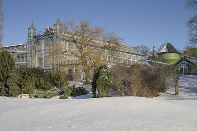 Winter, Mittelmeerhaus, Botanischer Garten, Lichterfelde, Steglitz-Zehlendorf, Berlin, Deutschland Winter, Mittelmeerhau-stock-foto