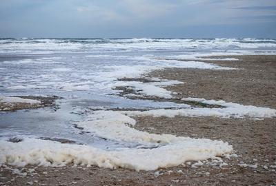 Warnemuende, Deutschland, Algenschaum am Strand der stuermischen Ostsee-stock-photo