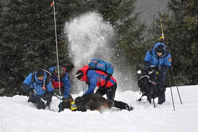 Lawinenverschuettetensuche im Lawinenfeld-stock-foto