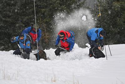Lawinenverschuettetensuche im Lawinenfeld-stock-foto