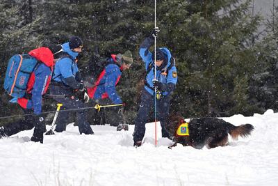 Lawinenverschuettetensuche im Lawinenfeld-stock-foto
