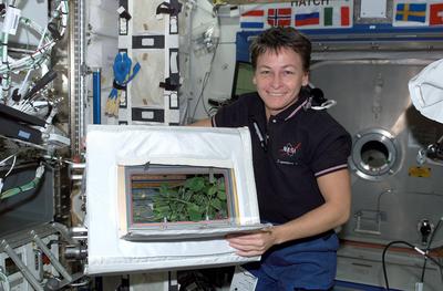 Expedition Five crewmember and flight engineer Peggy Whitson displays the progress of soybeans growing in the Advanced A-stock-foto