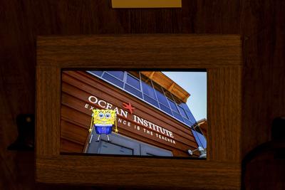Exposi??o Bob Esponja A Experi?ncia-stock-photo