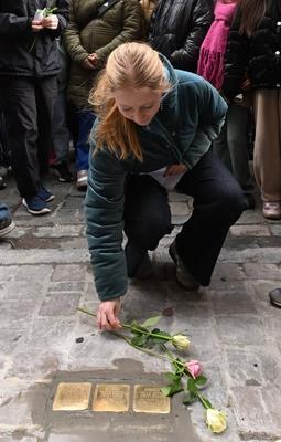 Installation Of New Stumbling Stones In Brussels-stock-foto