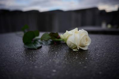 Berlin, Gedenkorte zum Internationalen Holocaust-Gedenktag-stock-foto