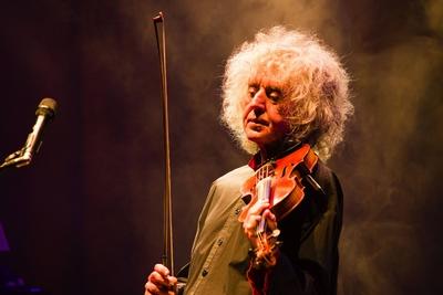 Der italienische Liedermacher Angelo Branduardi spielt auf seiner Geige bei einem Konzert im Rahmen-stock-photo