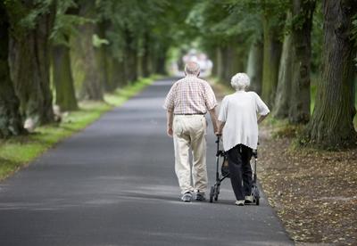 Ehepaar geht eine Allee entlang . Potsdam , Deutschland Aged Couple . Potsdam , Germany 30.07.2009 , KEIN MODEL RELEASE-stock-foto