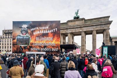 29.01.2025,Berlin,Bundesweiter Aktionstag Kundgebung am Brandenburger Tor: Gemeinsam f?r die Wirtschaftswende, Wirtschaf-stock-foto
