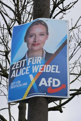 Themenfoto: Politik, Wahl, Wahlplakat zur Bundestagswahl 2025, 29.01.2025-stock-foto