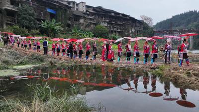 Girls' Day-stock-foto